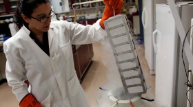 Jessica Dias, an associate research specialist at University of Wisconsin in Madison, removes embryonic stem cells from deep freeze to be thawed before being worked on. The university's scientists, who were the first to experiment with finding cures to neurological and muscular diseases through stem cell research, hope to receive federal funding for their work.