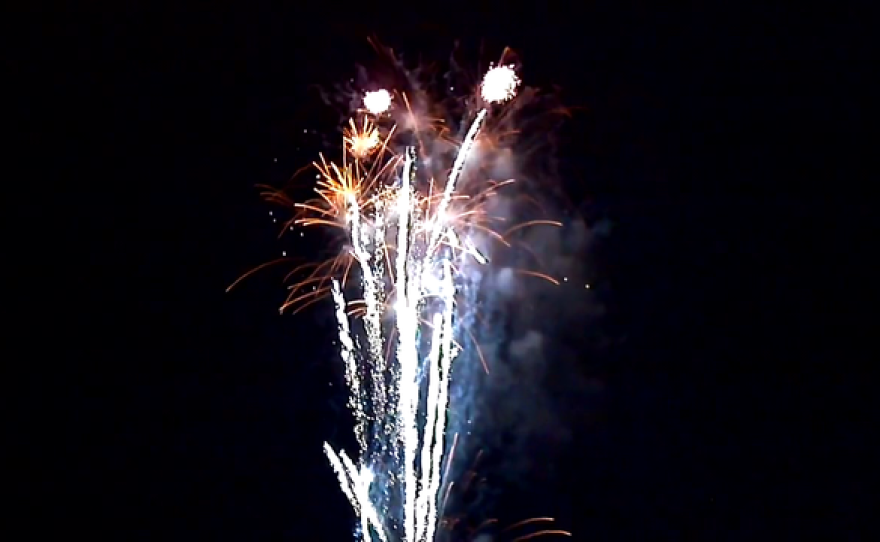 Fireworks explode in the night sky. 