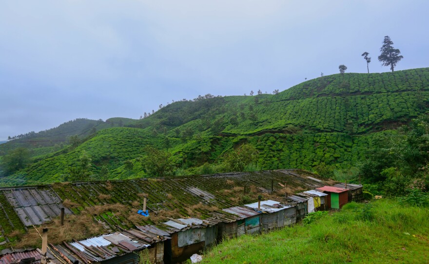 Workers on the tea estates of the Kanan Devan Hills Plantations Company in the Indian state of Kerala live in rent-free housing. Though the accommodations are rudimentary, they're considered a major benefit for employees.