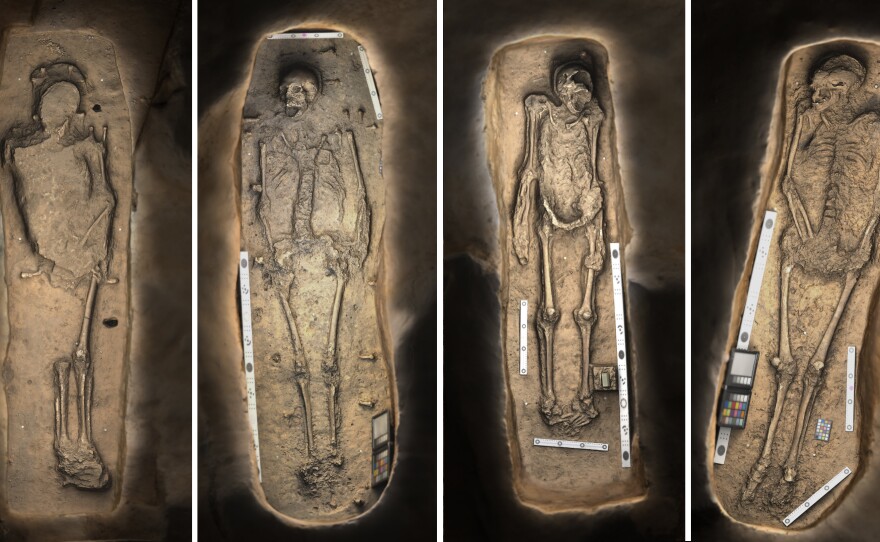 3-D renderings of four skeletons found buried near the altar of an early church in the Jamestown settlement in Virginia.