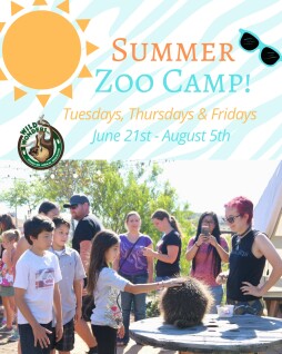 Zoo Camp 2022 - Tu, Th, F.jpg