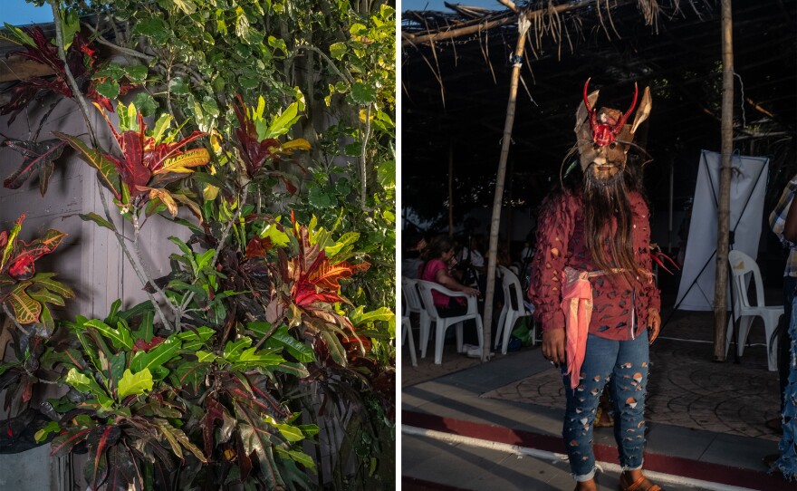 Croton plant and a dancer of the Diablos dance before beginning her performance in Tamiahua, Veracruz, on July 21.