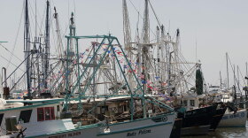 Shrimp boats sit in the Pass Christian Harbor in Pass Christian, Miss. Many fishermen, seafood buyers and others in the Gulf operate with cash, which may cause problems when they cannot present the documents needed to receive government compensation.