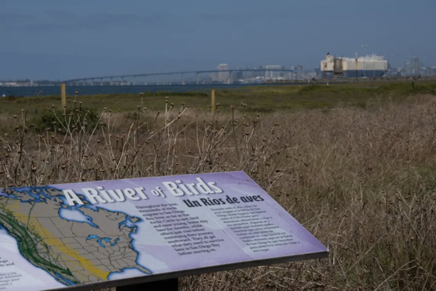 View of downtown from the estuary at the mouth of the Sweetwater River at San Diego Bay Wildlife Refuge on Sept. 14, 2023.