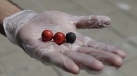 A volunteer holds rubber bullets in his hand that was collected with other debris as he cleaned after a night of protests in downtown Louisville, Ky., Sunday, May 31, 2020. The debris came from a previous evening of protest over the deaths of George Floyd and Breonna Taylor. 
