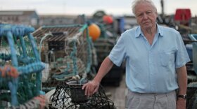 Sir David Attenborough, host of "The Death Of The Oceans?"