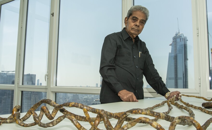 Shridhar Chillal, 82, let his nails grow for over six decades. He cut them off this month. They are now on display in the Ripley's Believe It or Not! museum in New York City.