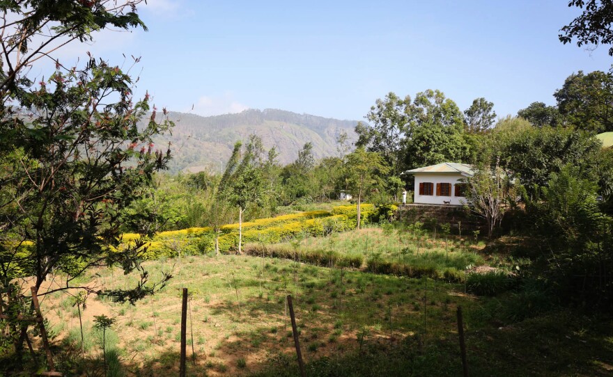 Amba Estate, a 26-acre tea plantation in Sri Lanka, shares 10 percent of its revenue with its workers.