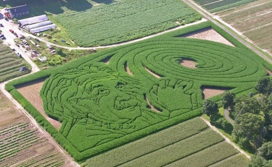 Mike's Maze from 2005 was an homage to Albert Einstein and his spiral galaxy.