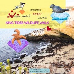© Wildlife Jewels- EYES--14c
