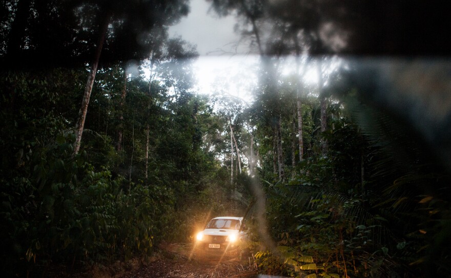 The convoy drives deep into the reserve looking for signs of illegal logging.
