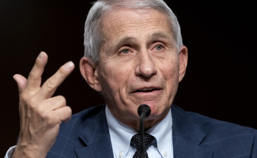 Dr. Anthony Fauci testifies before a Senate Health, Education, Labor, and Pensions Committee hearing on Jan. 11.