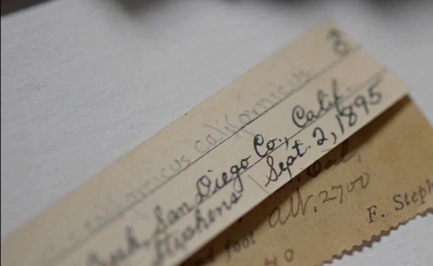 Specimens in TheNAT's collection date back 150 years. July 18, 2012