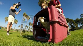 Osprey release. The plight of "Gilbert," an osprey from Lake Murray, highlights the interconnectedness of San Diego's water systems and our vulnerability in times of scarcity.