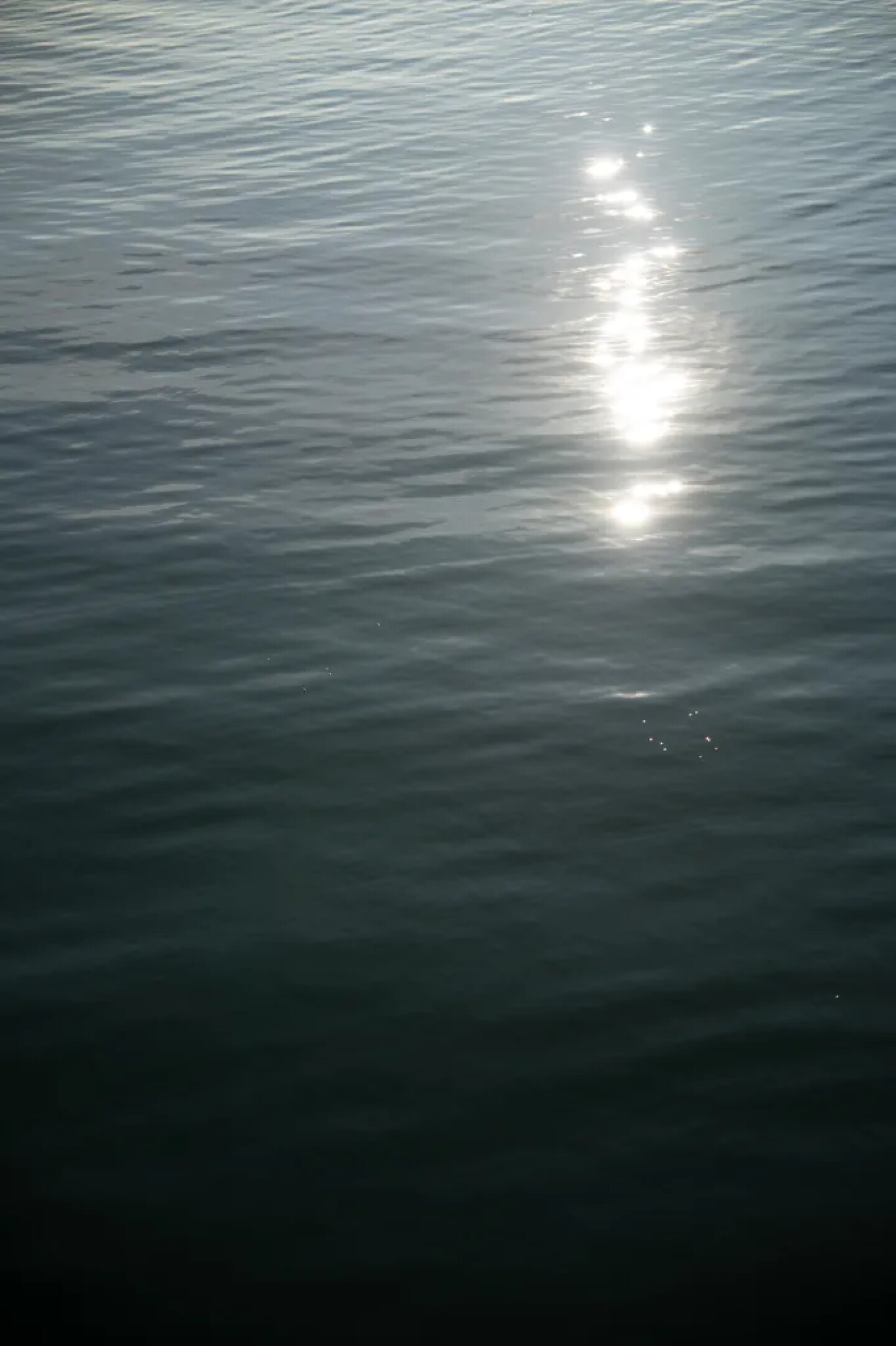 The water at Jack London Square where J.M., who prefers to use his initials for privacy, walks almost daily for exercise and because he enjoys looking at the San Francisco Bay in Oakland, on Dec. 1, 2025. He received housing support through CARE Court and now lives within walking distance of Jack London.