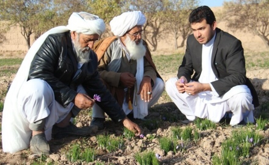 Saffron farmers Haji Zarghon (left) and Haji Ebrahim speak with Abdul Shakhoor Ehrarri, a water applications specialist for Rumi Spice, in Herat Province, Afghanistan during the harvest on Nov. 22, 2014.