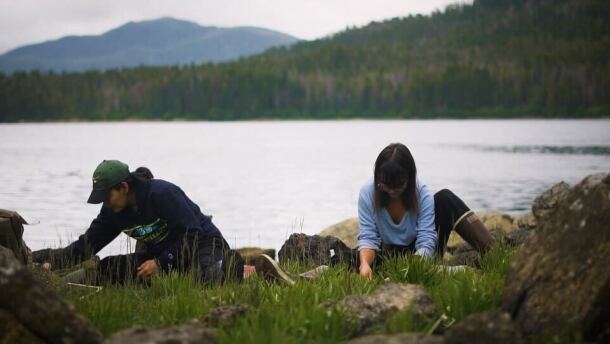 Natasha Baumgartner (left) and Moriah Hayes harvest plants in Sheet’ká Ḵwáan in July 2020.