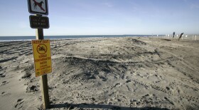 The beach adjacent to the Tijuana Estuary is shown in Imperial Beach. 