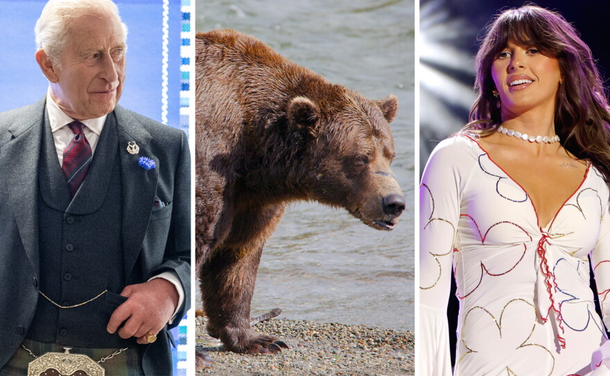 From left: a king, a king of bears, a queen of country.