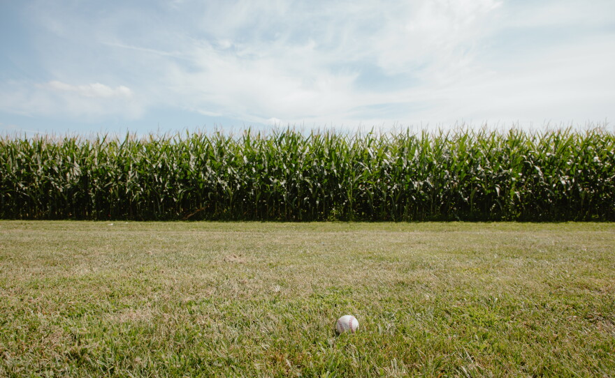 A stray ball lands near Springfield's corn fields during preseason practice on Thursday, July 30.