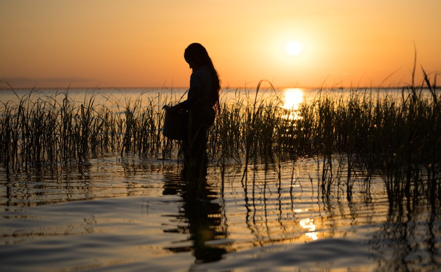 There's a lingering mystery hanging over the author of "Where the Crawdads Sing," now adapted into a film.
