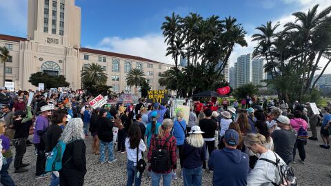 Protesters across San Diego join a nationwide walkout and demonstration against the Trump administration at the San Diego Administration Building on Jan. 20, 2026.