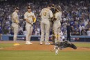 A goose lands in the infield during the eighth inning in Game 2 of a baseball NL Division Series between the Los Angeles Dodgers and the San Diego Padres, Wednesday, Oct. 12, 2022, in Los Angeles.