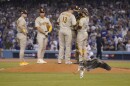 A goose lands in the infield during the eighth inning in Game 2 of a baseball NL Division Series between the Los Angeles Dodgers and the San Diego Padres, Wednesday, Oct. 12, 2022, in Los Angeles. 