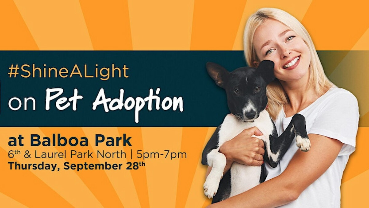 Remember Me Thursday® Pet Rescue Awareness Event - Vimarsana News