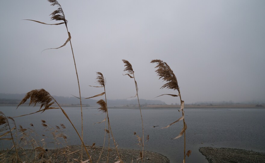 The South Korean government has also applied a second time for the area to be named a biosphere reserve through UNESCO, which would require a wide buffer zone that limits development in areas alongside the DMZ.