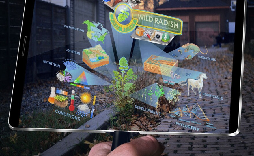 Augmented reality allows a user to identify an object from the real world — in this case, a plant — and digitally interact with it.