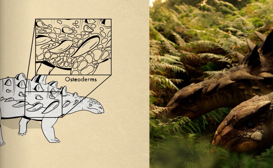 Osteoderms featured in "Walking with Dinosaurs: A Viewer's Guide"