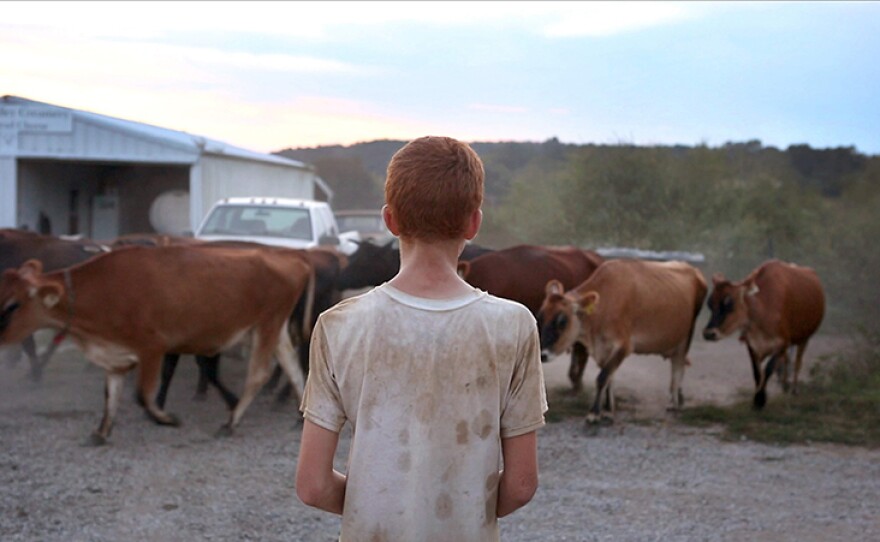 The Nolan family farm. Clear-eyed and intimate, "Farmsteaders" follows Nick Nolan and his young family on a journey to resurrect his late grandfather's dairy farm as agriculture moves toward large-scale farming.