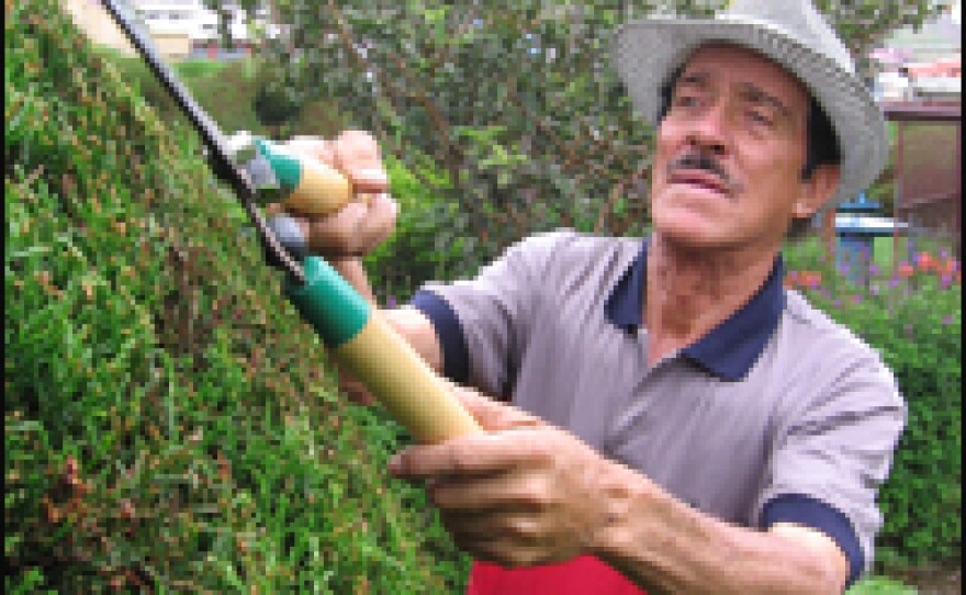 Brenes started creating the topiaries in 1964 and has lovingly maintained them ever since.