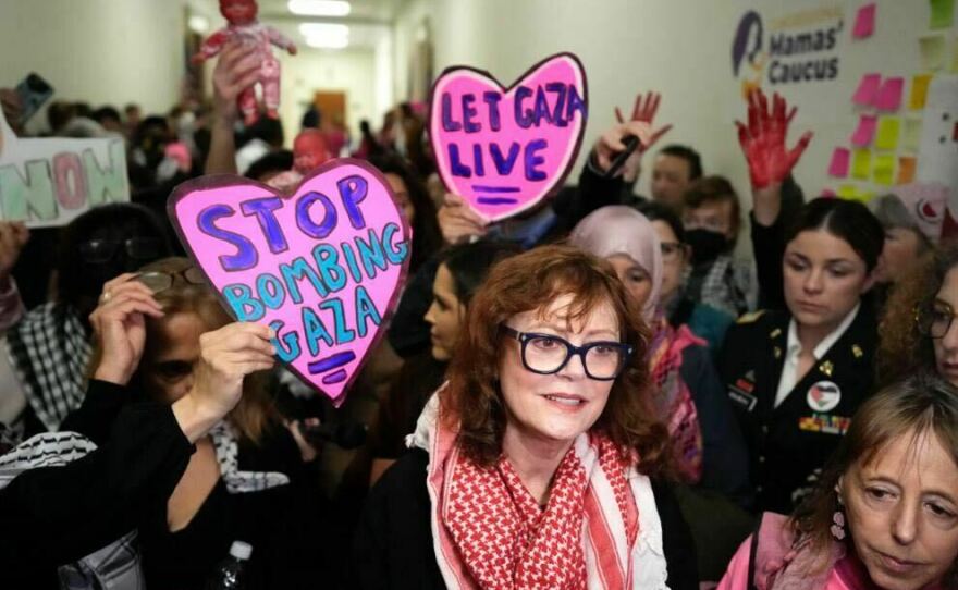 "I'm in a business that's about imagining," says actor Susan Sarandon. "And if you imagine and then you empathize, how can you not identify with mothers whose children are being blown up and dismembered?" Sarandon, who said she's also a mother and grandmother, joined CODEPINK on Capitol Hill on Feb. 15, 2024 to protest U.S. support for Israel's bombardment of Gaza.