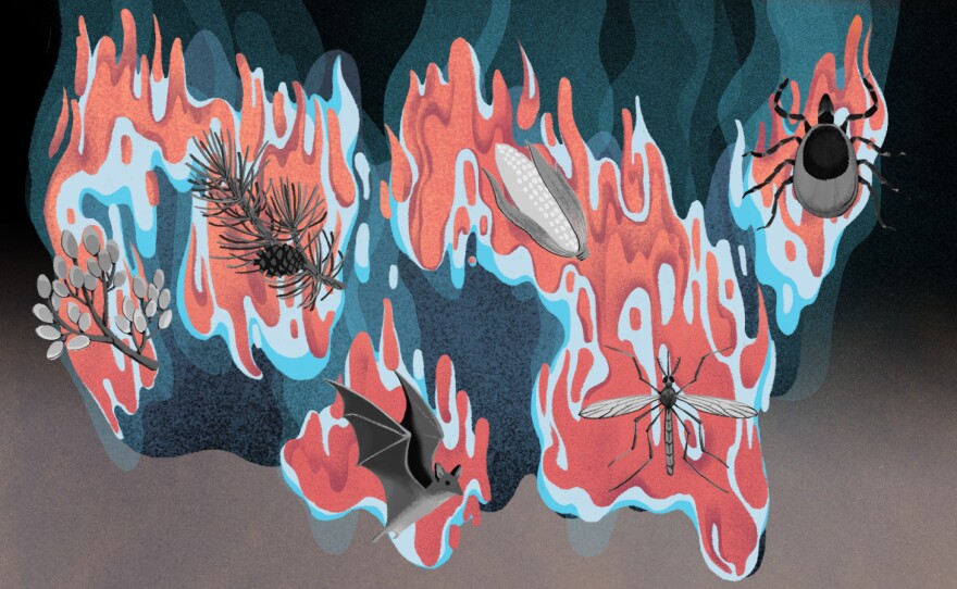 How Warming Winters Are Affecting Everything