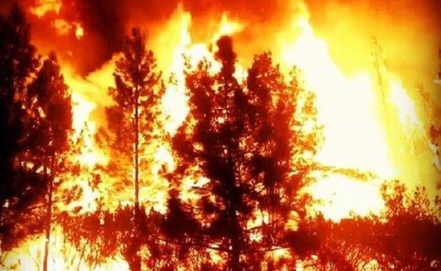 The Rim Fire burns in Yosemite National Park.