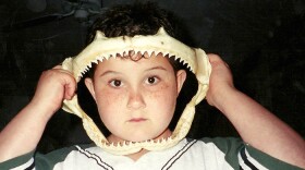 In a moment of intensity, young Sasha Joseph Neulinger frames his face with the jaws of a shark. (undated photo)
