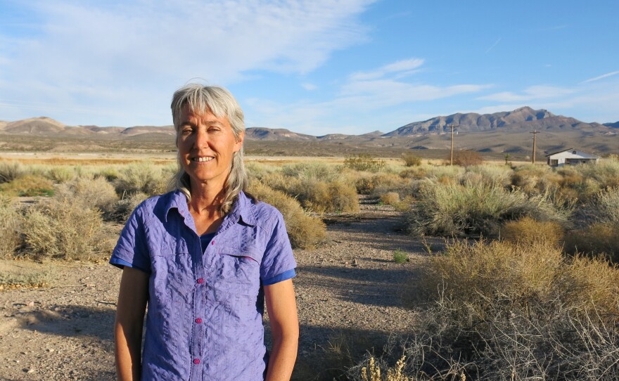 Laura Cunningham, co-founder and executive director of Basin and Range Watch, stands near her home in Nevada. Her group has taken legal action against the U.S. Bureau of Land Management to learn more details about the number of bird deaths associated with Crescent Dunes Solar Energy Plant.