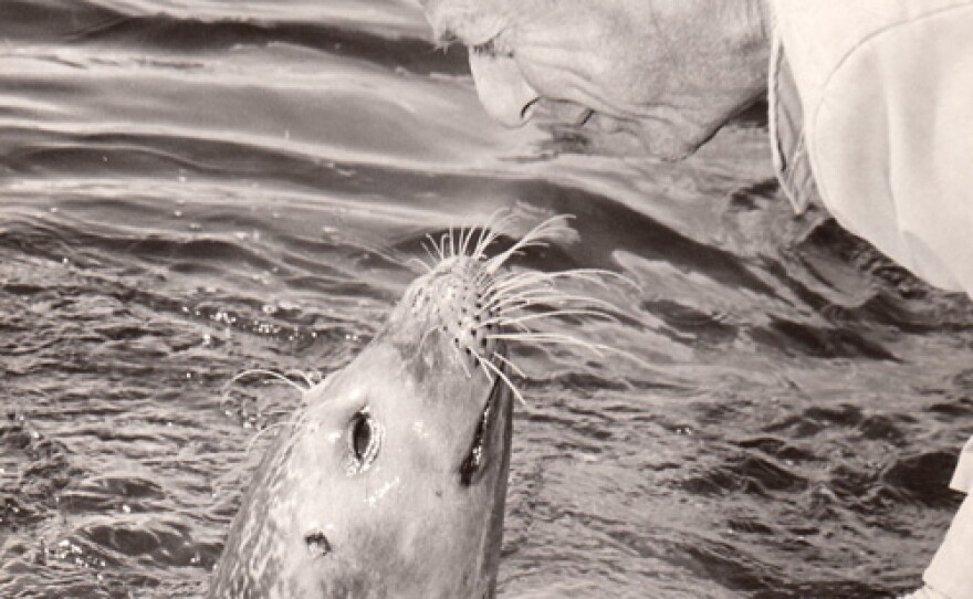 Harry Goodridge looking down at Andre in water.