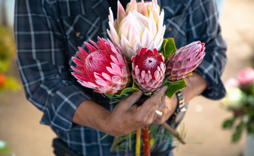 Owner Mel Resendiz puts together a bouquet of flowers at the Resendiz Brothers Protea Growers nursery in Fallbrook, June 17, 2020.