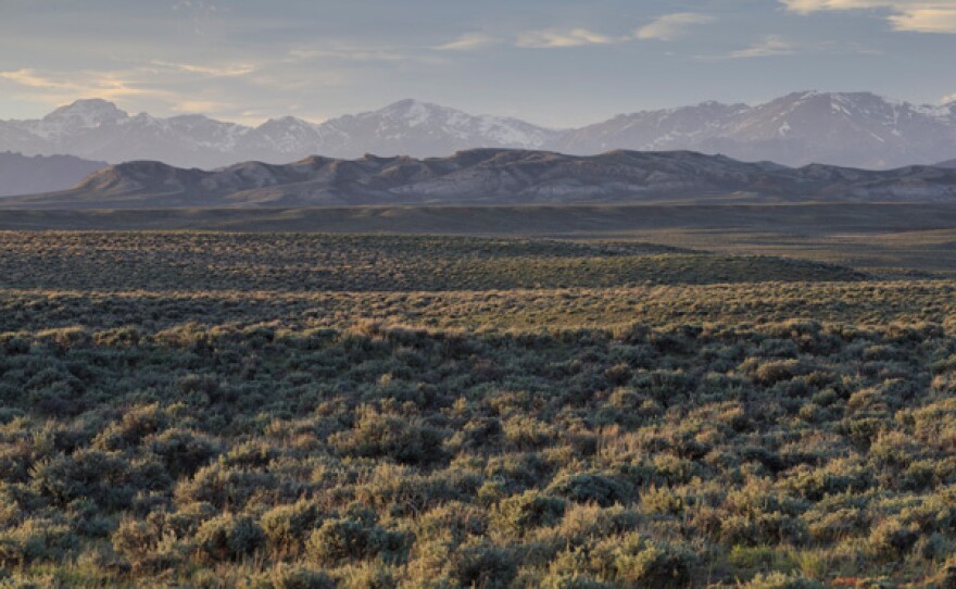 NATURE The Sagebrush Sea KPBS Public Media