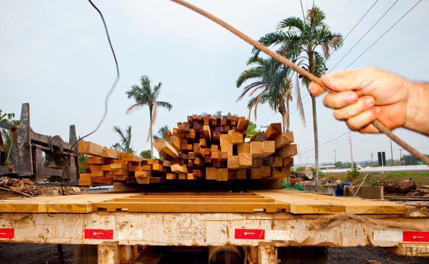 A joint raid with IBAMA, ICMBIO, Rondonia Police and the Ministry of Defense went to the Jacunda Nation Forest to track illegal loggers and collect contraband lumber.