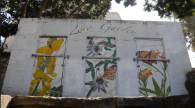 Murals of flora and fauna show off the Zoro Garden in Balboa Park on Feb. 26, 2025.