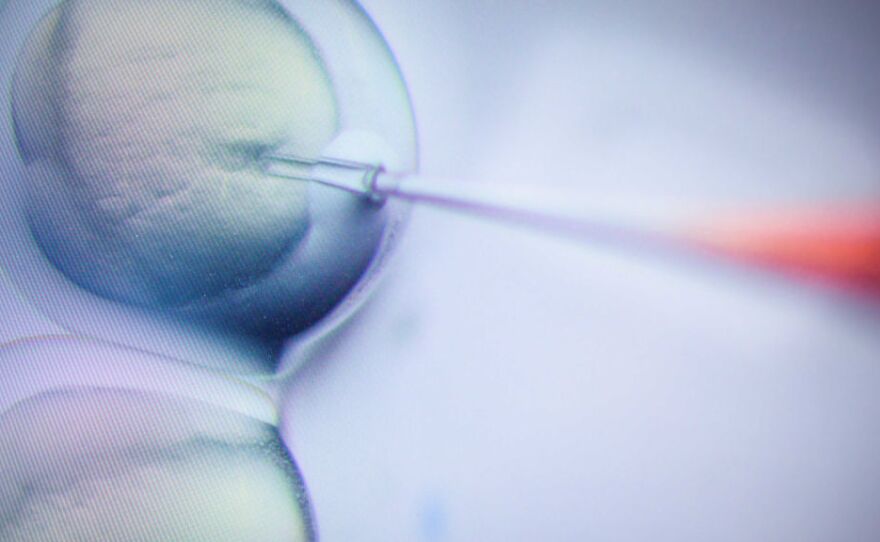 CRISPR technology already allows scientists to make very precise modifications to DNA, and it could revolutionize how doctors prevent and treat many diseases. But using it to create gene-edited babies is still widely considered unethical.