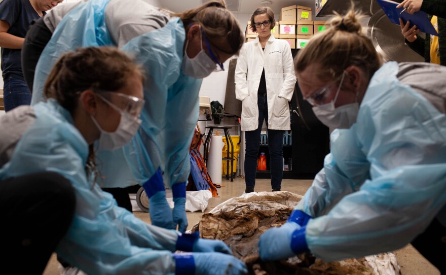 Kate Spradley watches her team of Texas State University graduate students during the intake process of OPID 699. Operation Identification, or OPID, led by Spradley, was founded in 2013 at the Forensic Anthropology Center at the university.