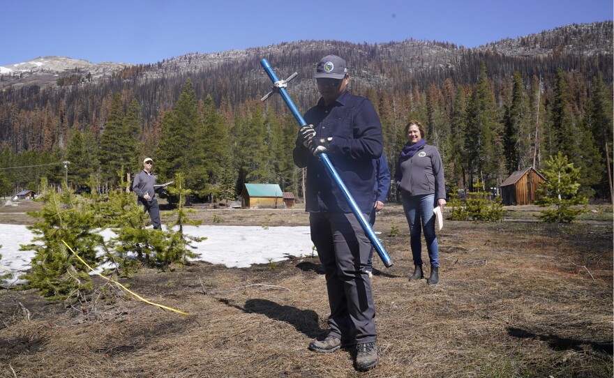 Holding the snowpack measuring tube, Sean de Guzman, manager of snow surveys and water supply for the California Department of Water Resources, looks down at the ground where there would normally be snow to measure as he conducts the fourth snow survey of the season at Phillips Station near Echo Summit, Calif., on Friday, April 1, 2022.
