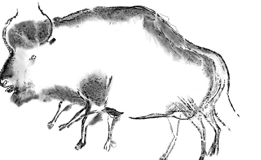 Reproduction of the blurred black charcoal drawing of a steppe bison from the Chauvet-Pont d'Arc cave in ArdeÌche, France.