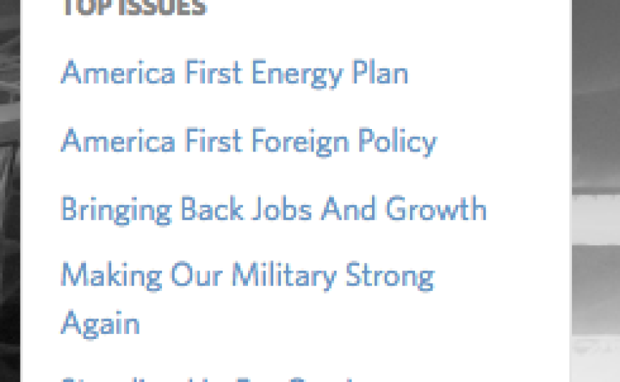 The White House website Friday listed six issue areas reflecting several of Trump's policy priorities.