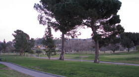 San Luis Rey Golf Course, Bonsall, Feb 2014 